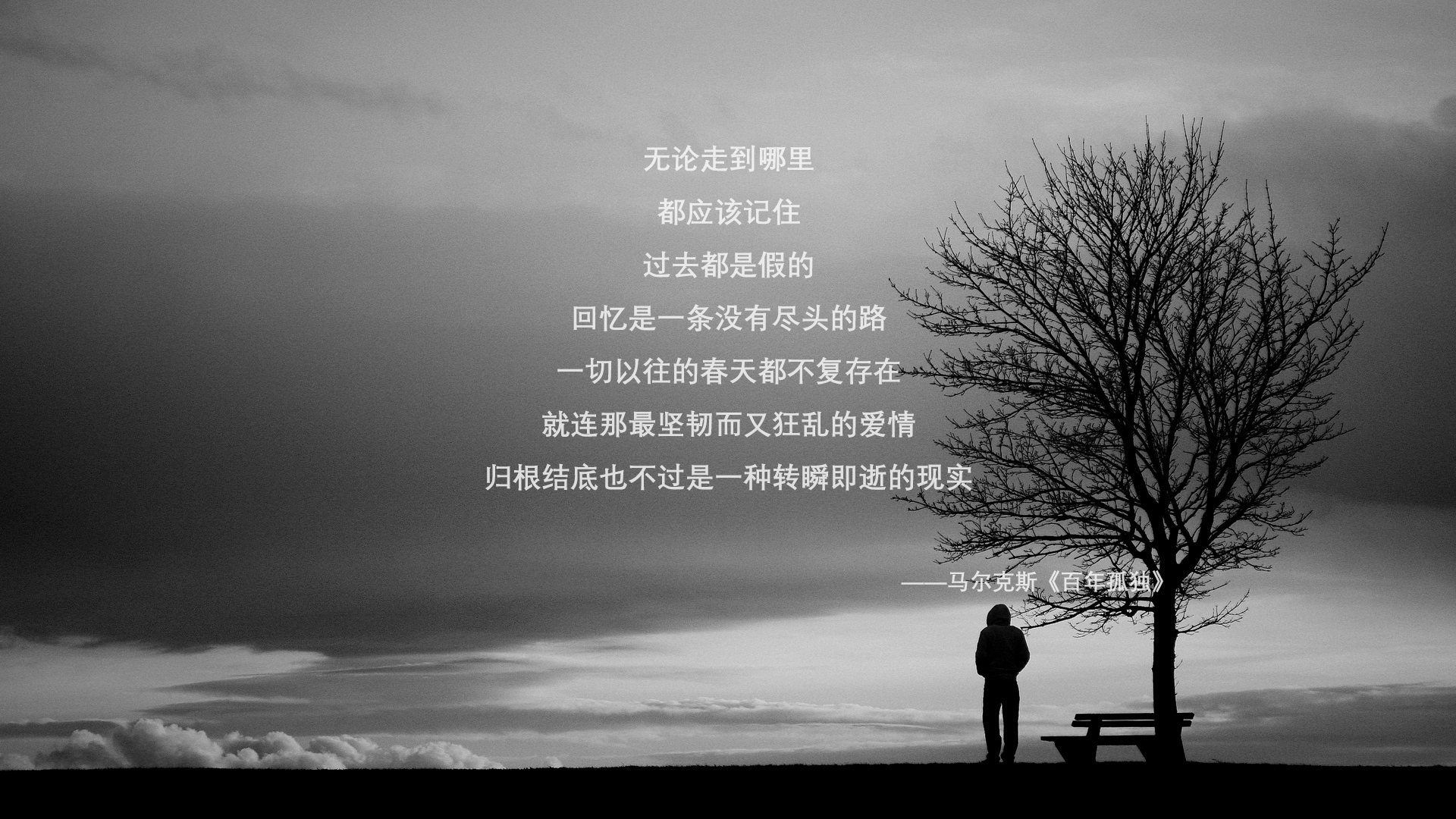 WRC危险瞬间：赛场上的生死时刻，wrc.