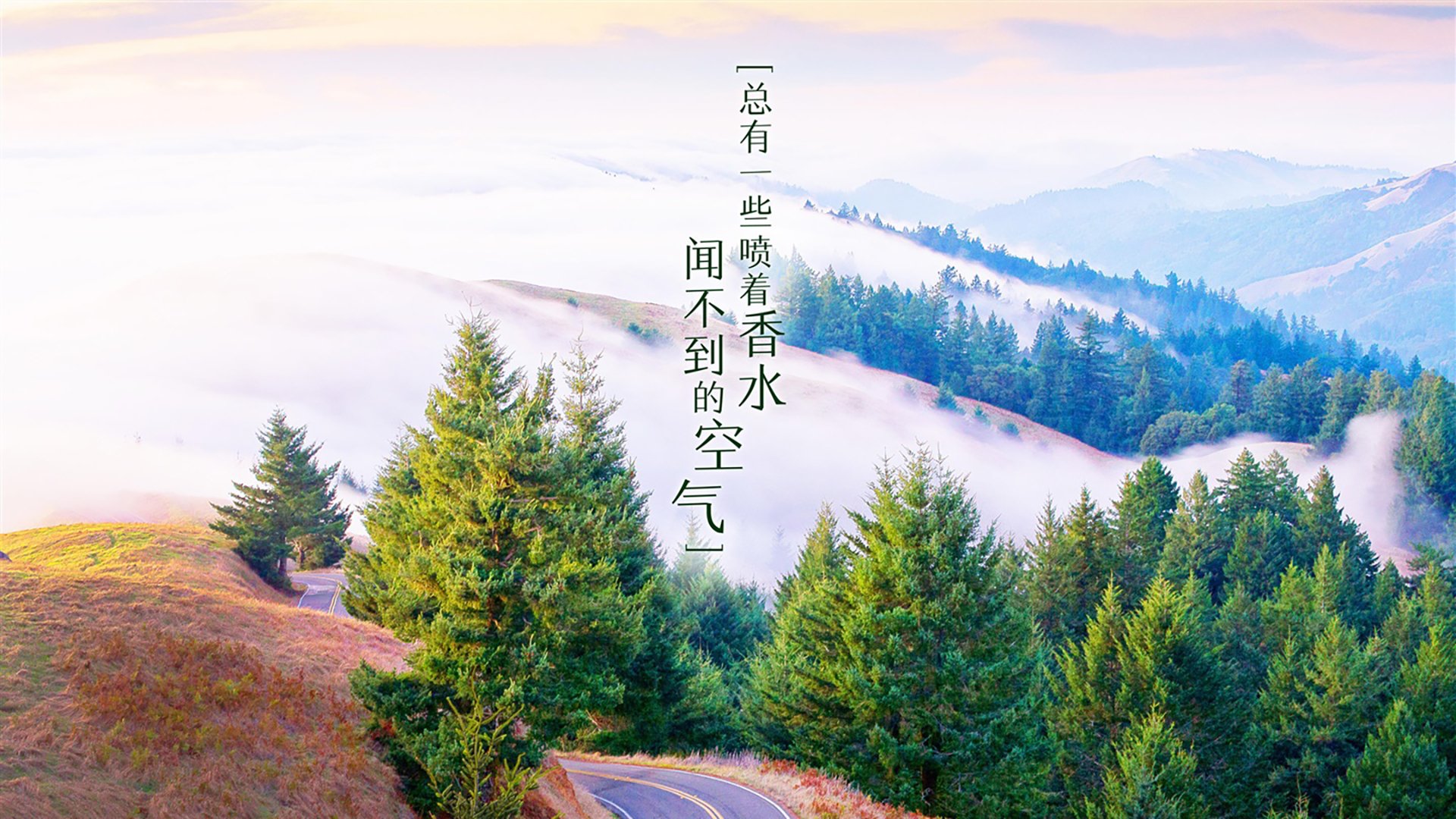 争夺焦点：本赛季官方最关注战役TOP10，本赛季热门英雄